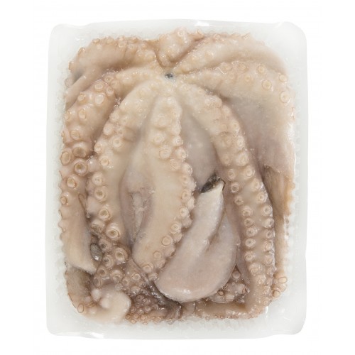 Frozen Raw Octopus in Tray
